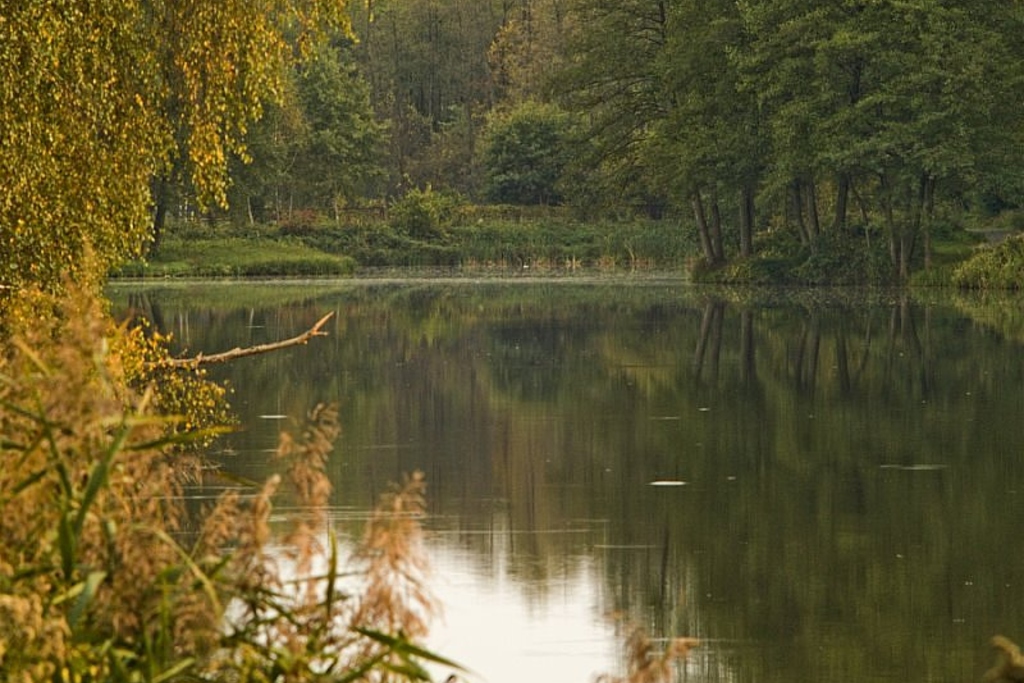 Chojnowski Park Krajobrazowy